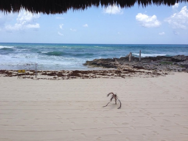  punta morena 